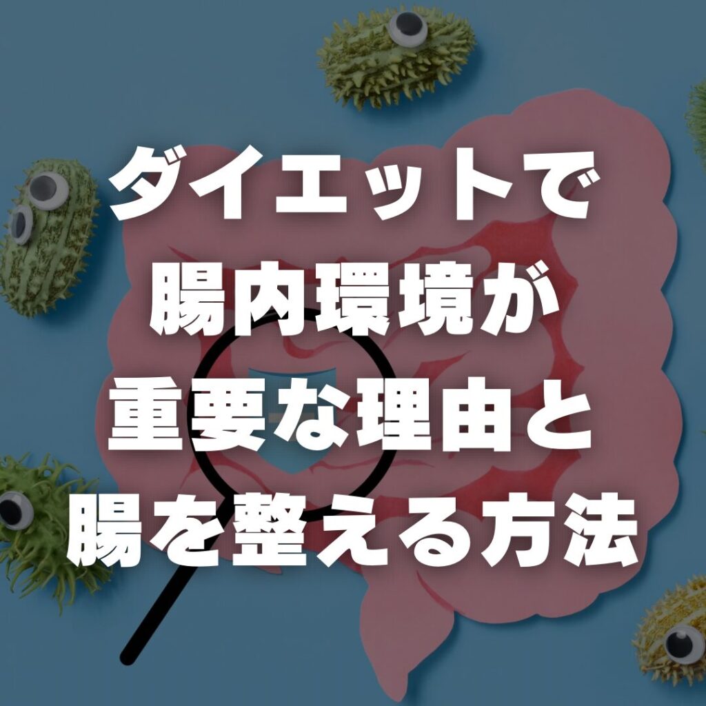 ダイエットで腸内環境が重要な理由と腸を整える方法
