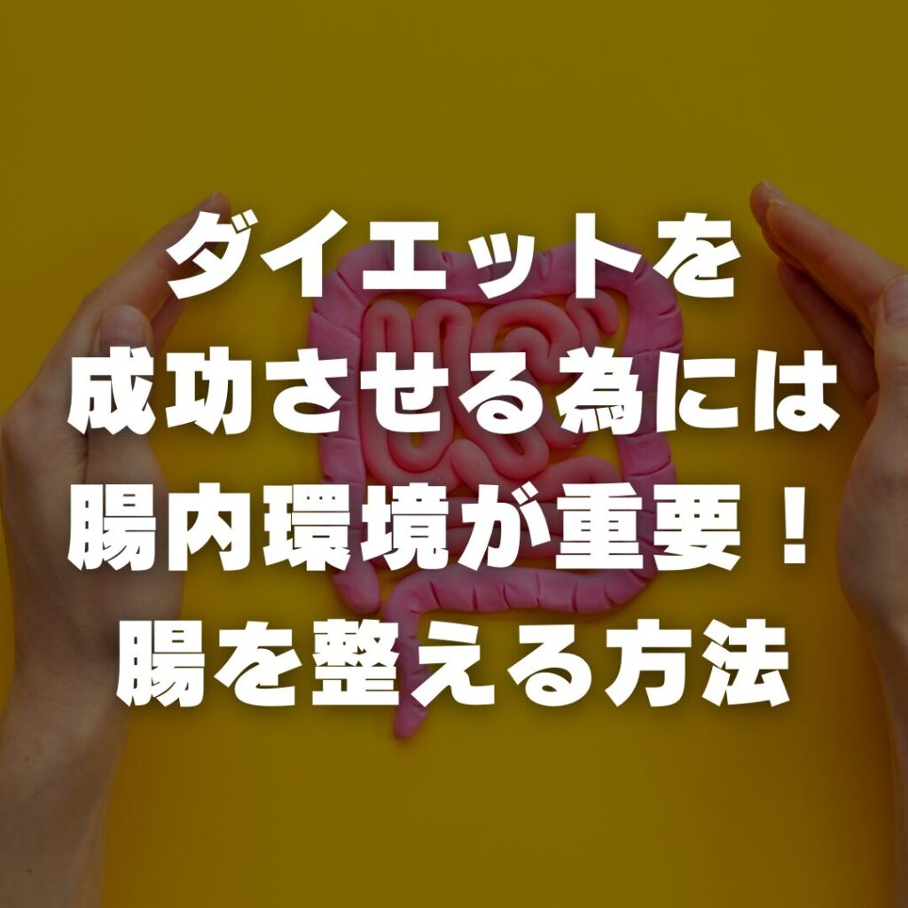 ダイエットを成功させる為には腸内環境が重要！腸を整える方法