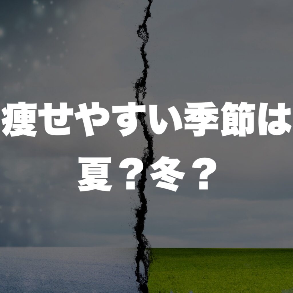 天王寺 パーソナルジム BodyStageが教える!痩せやすい季節は夏?冬?