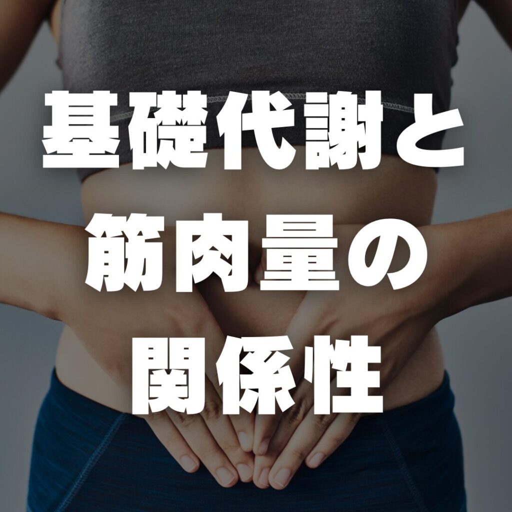 基礎代謝と筋肉量の関係性