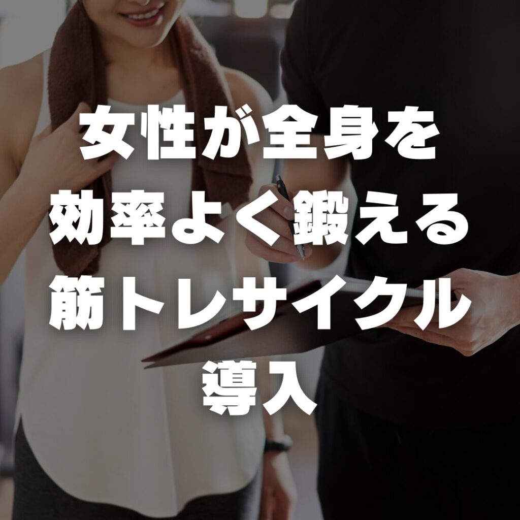女性が全身を効率よく鍛える筋トレサイクル導入
