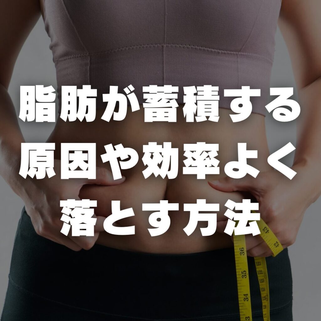 脂肪が蓄積する原因や効率よく落とす方法