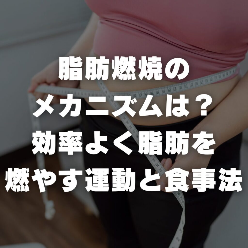 脂肪燃焼のメカニズムは？効率よく脂肪を燃やす運動、食事法