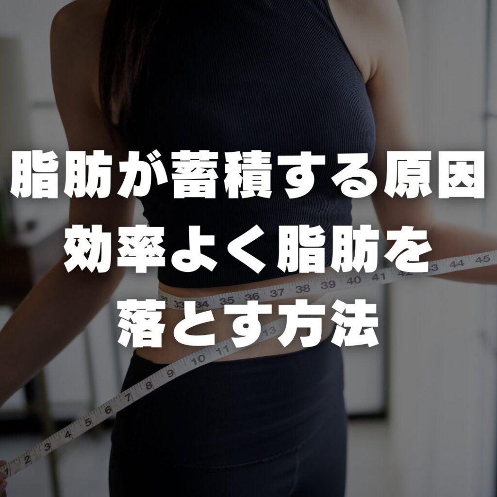 天満橋 パーソナルジム BodyStage 脂肪が蓄積する原因と効率よく脂肪を落とす方法